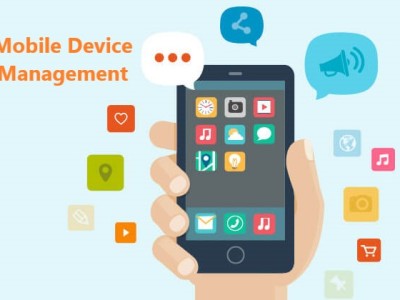 Overview of Mobile Device Management